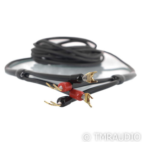 Transparent Audio MusicWave Speaker Cable; Single 40 (5...
