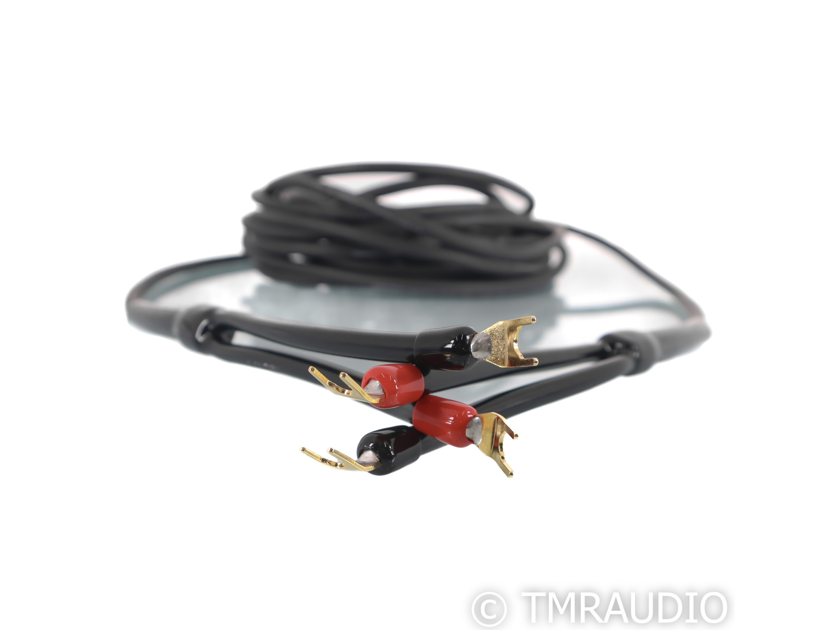 Transparent Audio MusicWave Speaker Cable; Single 40 (58535)