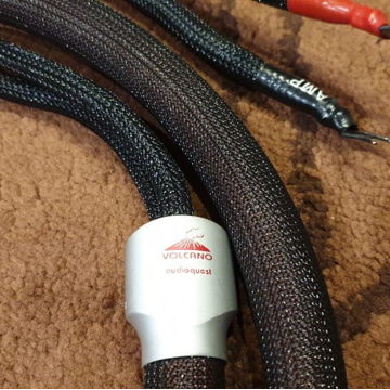 WANTED: AudioQuest Volcano Speaker Cables