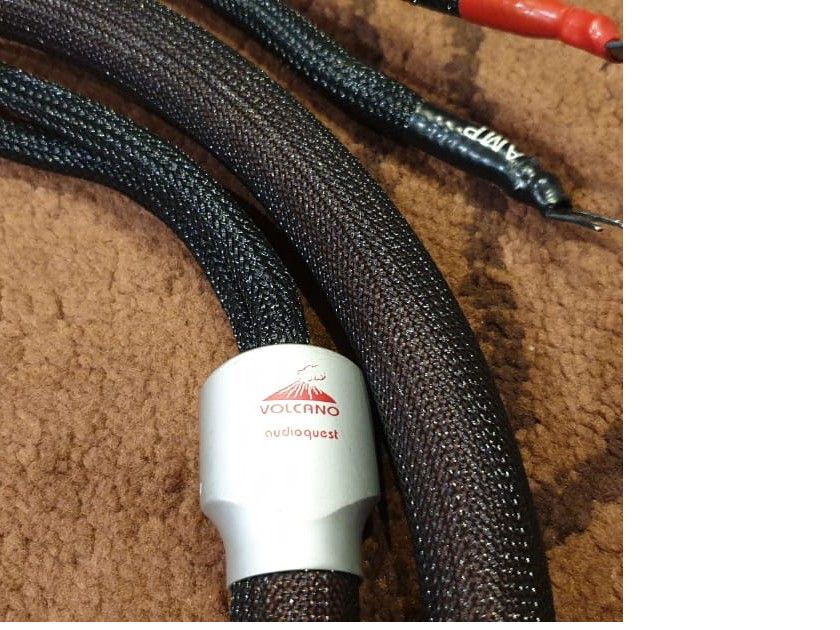 WANTED AudioQuest Volcano Speaker Cables For Sale Audiogon
