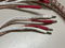 Kimber Kable  12TC Internal bi-wire 4