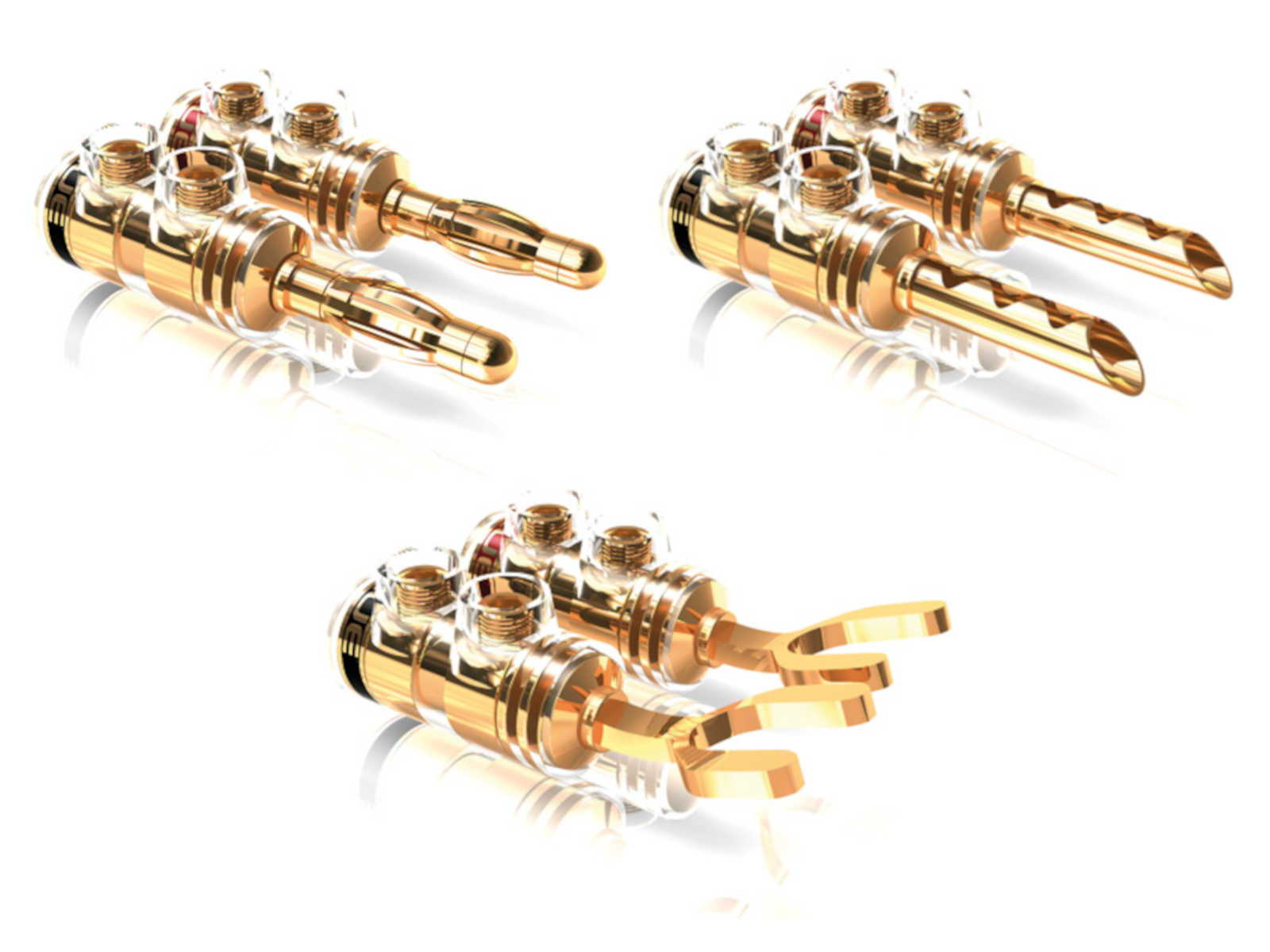 Avanti Audio Allegro Speaker Cables - 8ft with ViaBlue ... 3