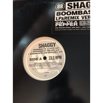 Shaggy - Boombastic DnB Mix Original PROMO Shaggy - Boo...