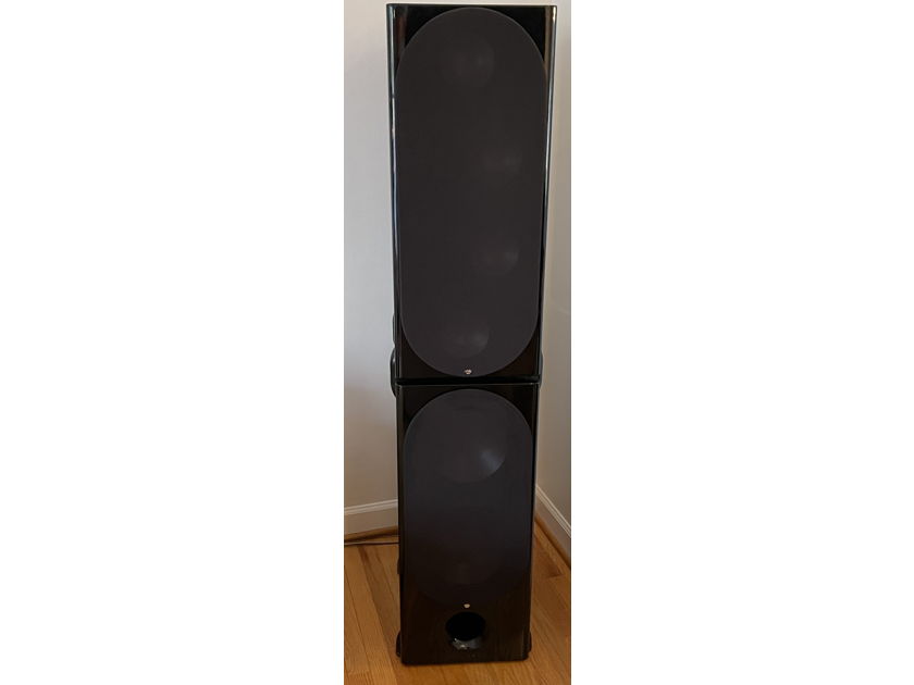 RBH Sound Signature Series Tower Speakers