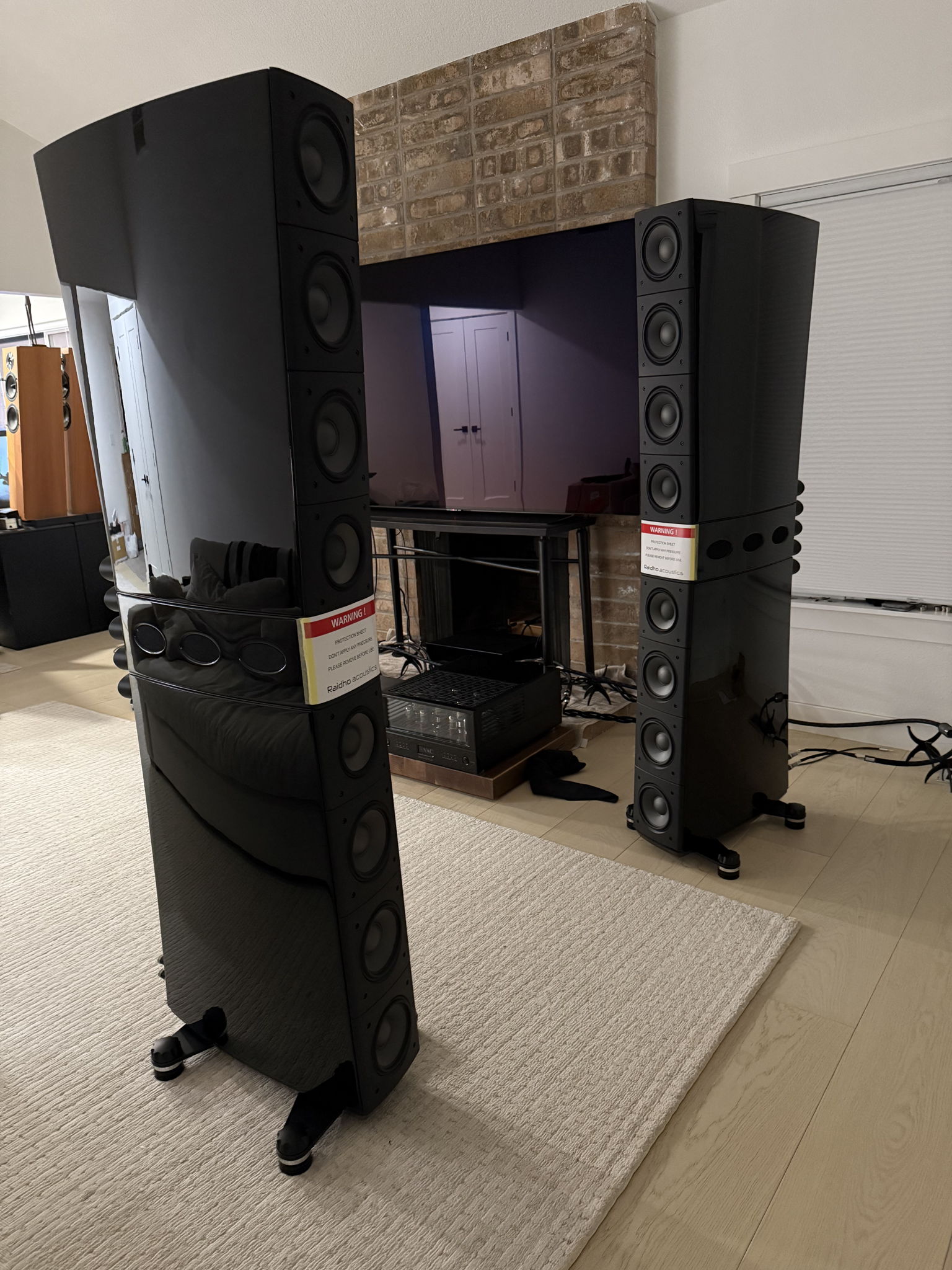 Raidho Acoustics TD 4.8 Speakers in Gloss Black 4