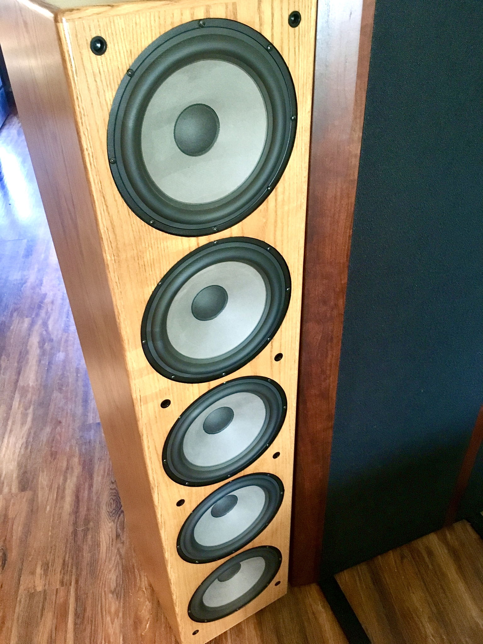 Kinergetics SW-800 Subs