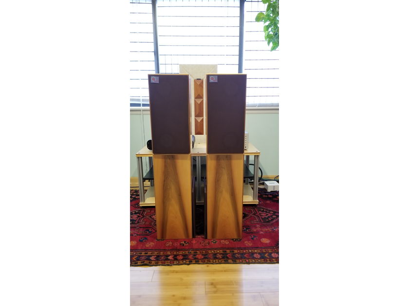 SAP Quartette Floorstanding Audiophile Stereo HiFi Speakers Italian Walnut (Strumenti Acustic Di Precisione) REDUCED