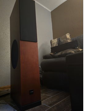 Canton Electronics Karat L-800 dc