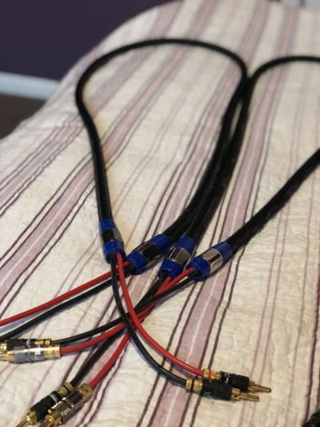 Speakers cable