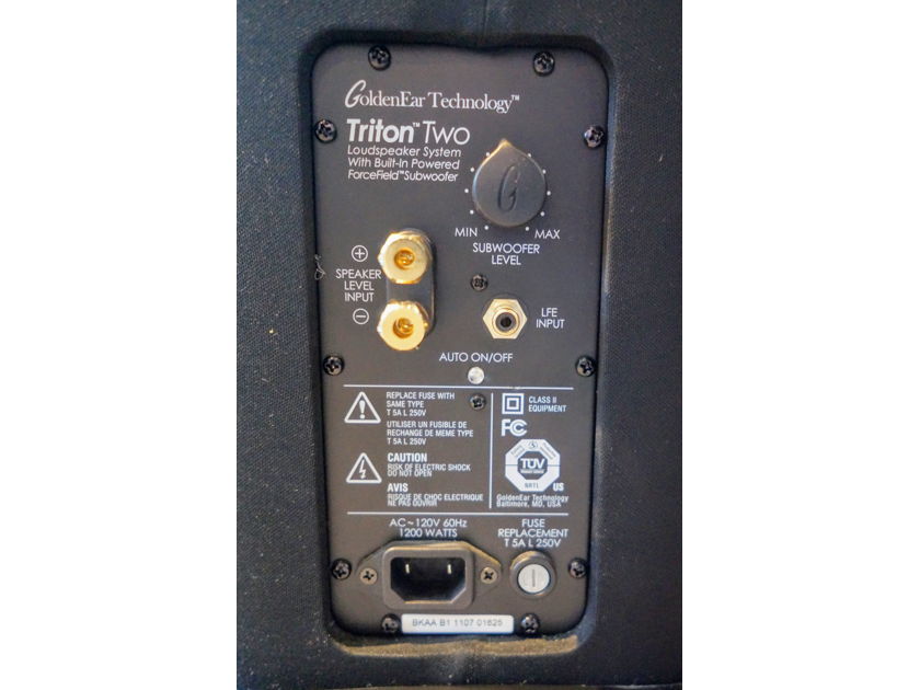 GoldenEar Technology Triton 2