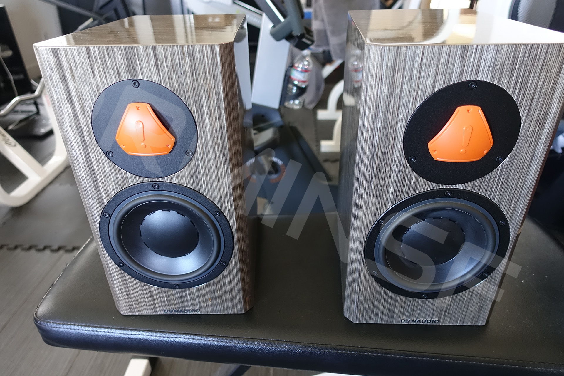 Dynaudio Special Anniversary 40 Grey Birch high Gloss 7