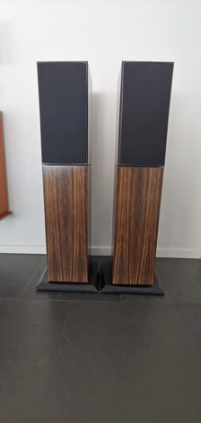 Triad Speakers InRoom Gold Monitor