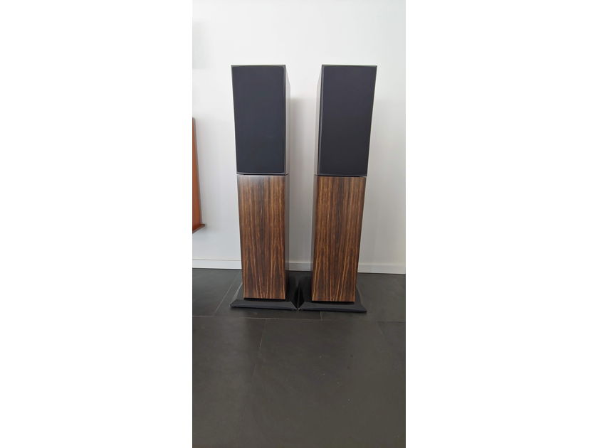 Triad Speakers InRoom Gold Monitor
