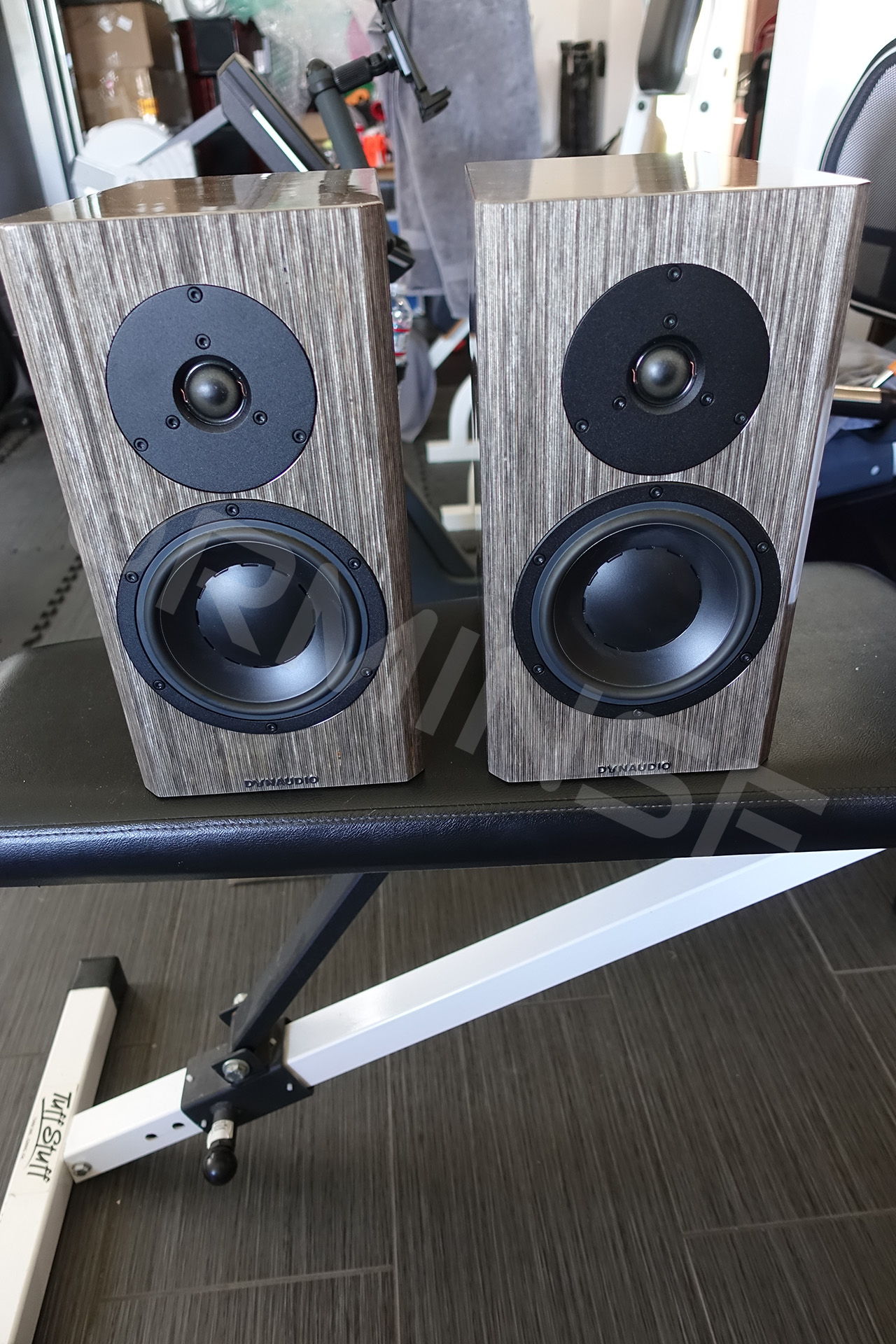 Dynaudio Special Anniversary 40 Grey Birch high Gloss