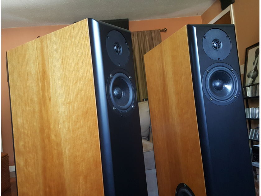 Audio Physic Virgo mkII Stereophile Class A speakers