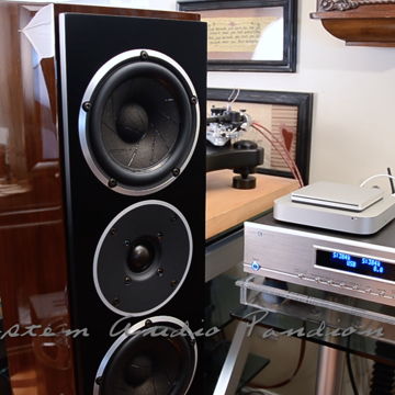 System Audio Pandion 30 (Gloss Walnut)