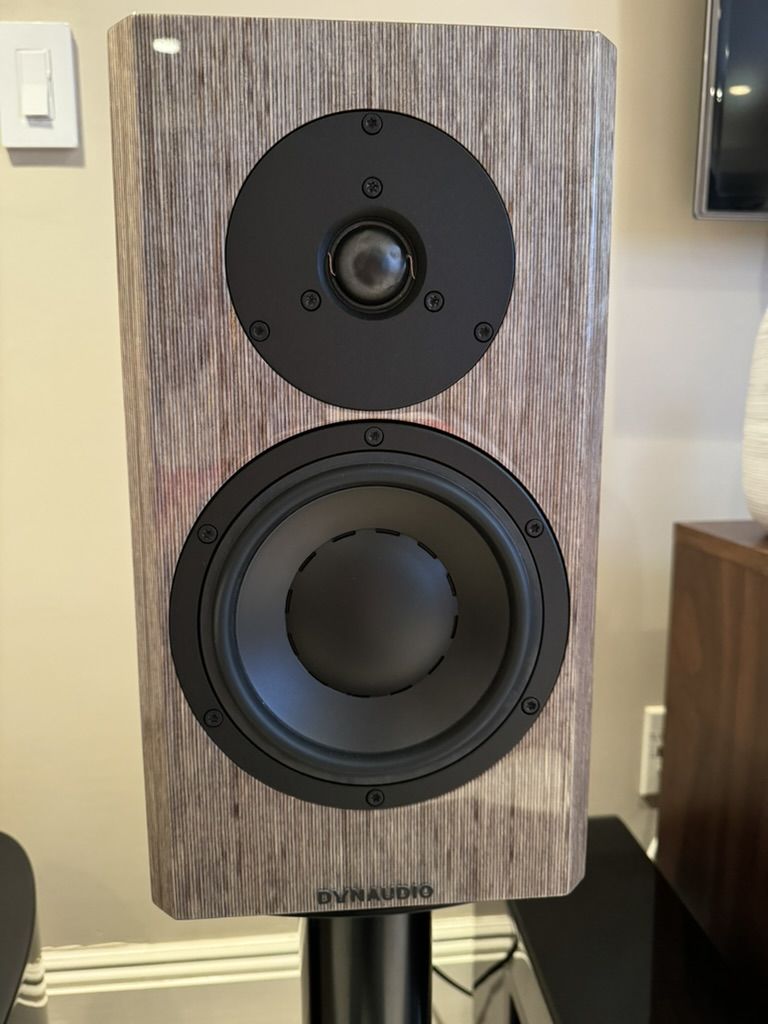 Dynaudio Special Anniversary 40 Grey Birch high Gloss 10