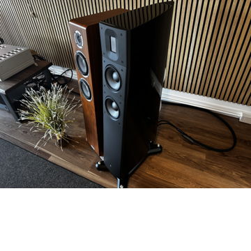 Raidho Acoustics TD2.2