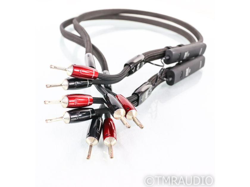 AudioQuest Castle Rock Speaker Cables; 5ft Pair; 72v DBS (35824)