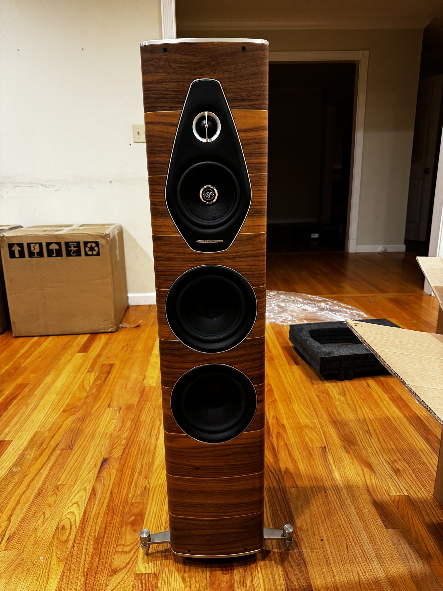 Sonus Faber Olympica Nova III 6