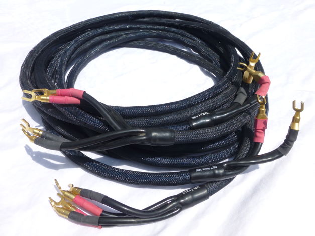 Tara Labs RSC Prime 1800 Speaker Cable pair: 18 ft, 20f...