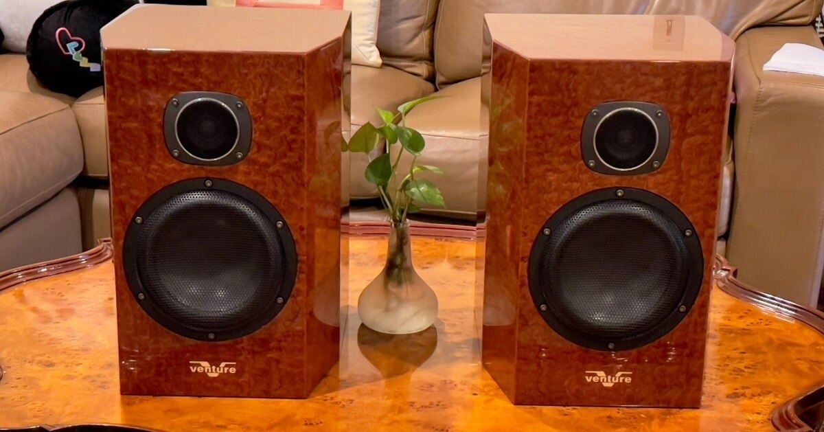 Venture Audio CR-1 Speakers ~ Excellent Condition 2