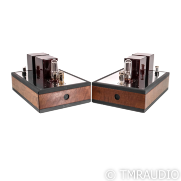 ModWright Instruments 845 DS SET Tube Monoblock Power A...