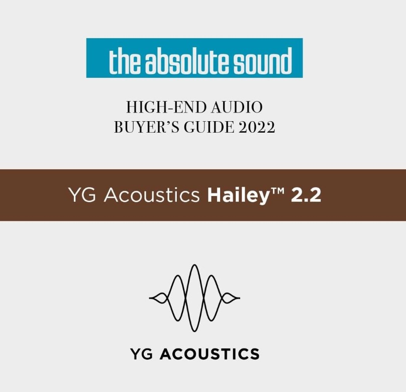 BEST OFFER - DEMO YG Acoustics Hailey 2.2 16