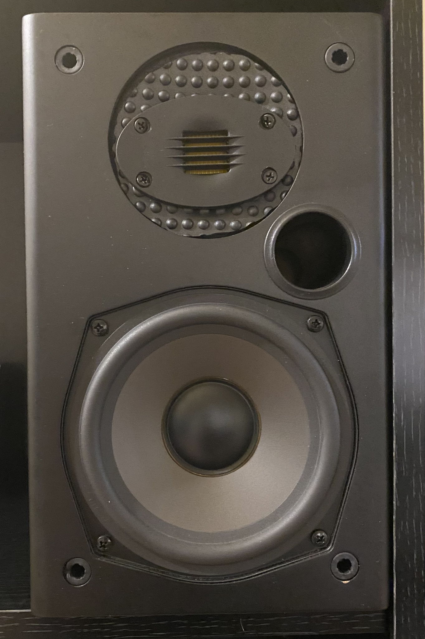 Modded Polk audio T15 grille off