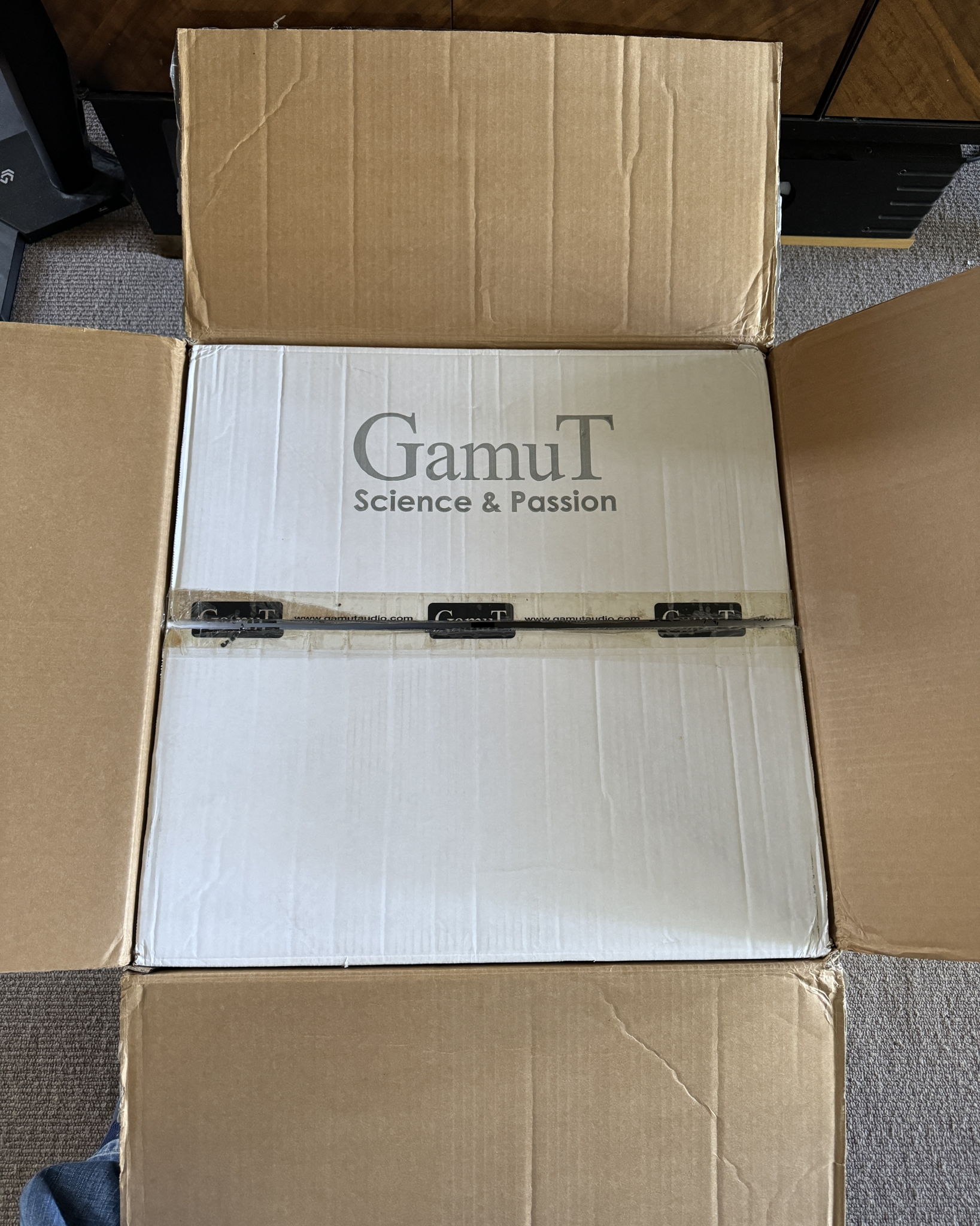 GamuT Audio D3i 4