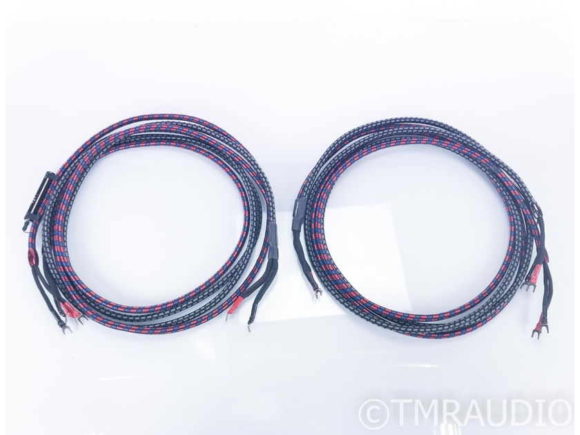 AudioQuest CV-6 Bi-Wire Speaker Cables; Type 6; 10ft Pair; 24V DBS (17403)