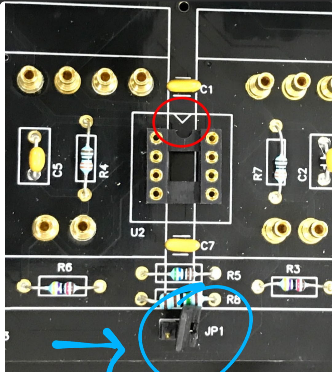 VTV Amplifier - Purifi 1ET-7040SA Dual Mono 12