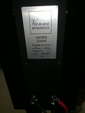 Vienna Acoustics Haydn Grand