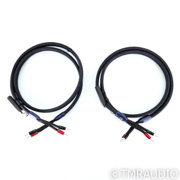 AudioQuest Thunderbird ZERO Speaker Cables; 8ft Pair (8...