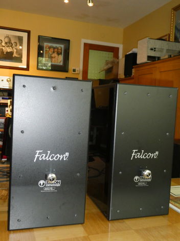Talon Falcon C Speakers with Updated Crossovers. Amazin...