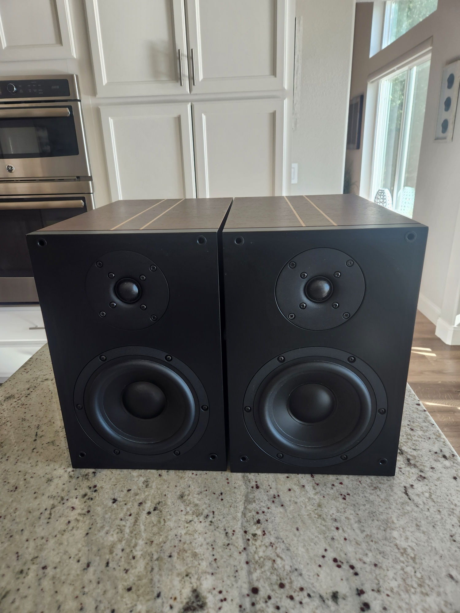 Studio Electric M4 Monitors with grills 3