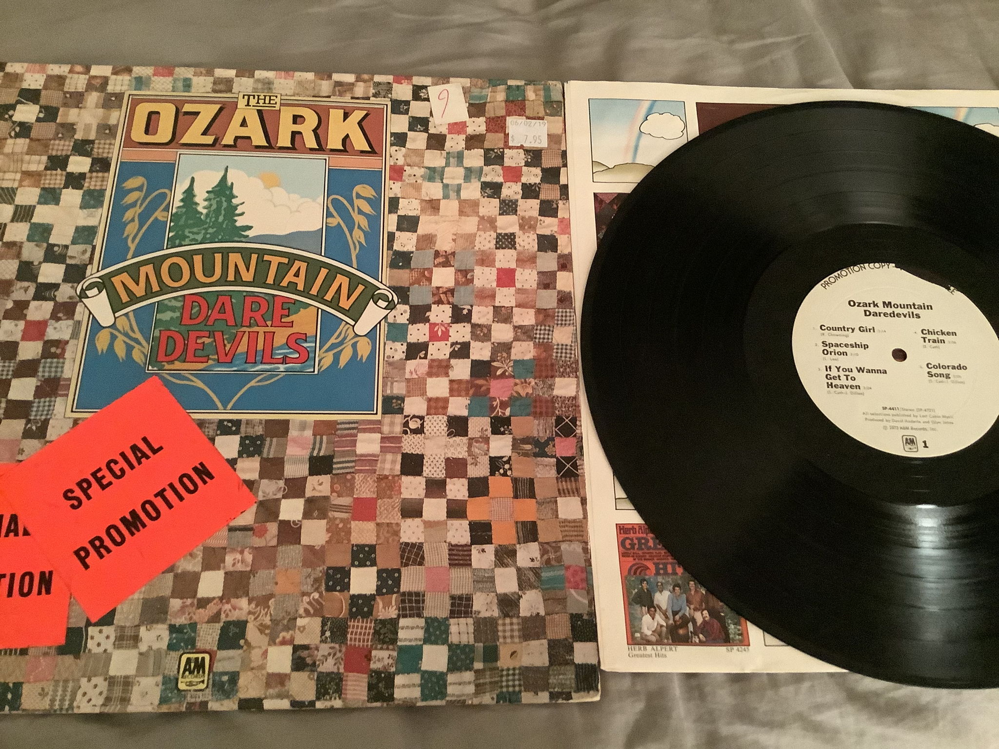 The Ozark Mountain Daredevils  Self Titled