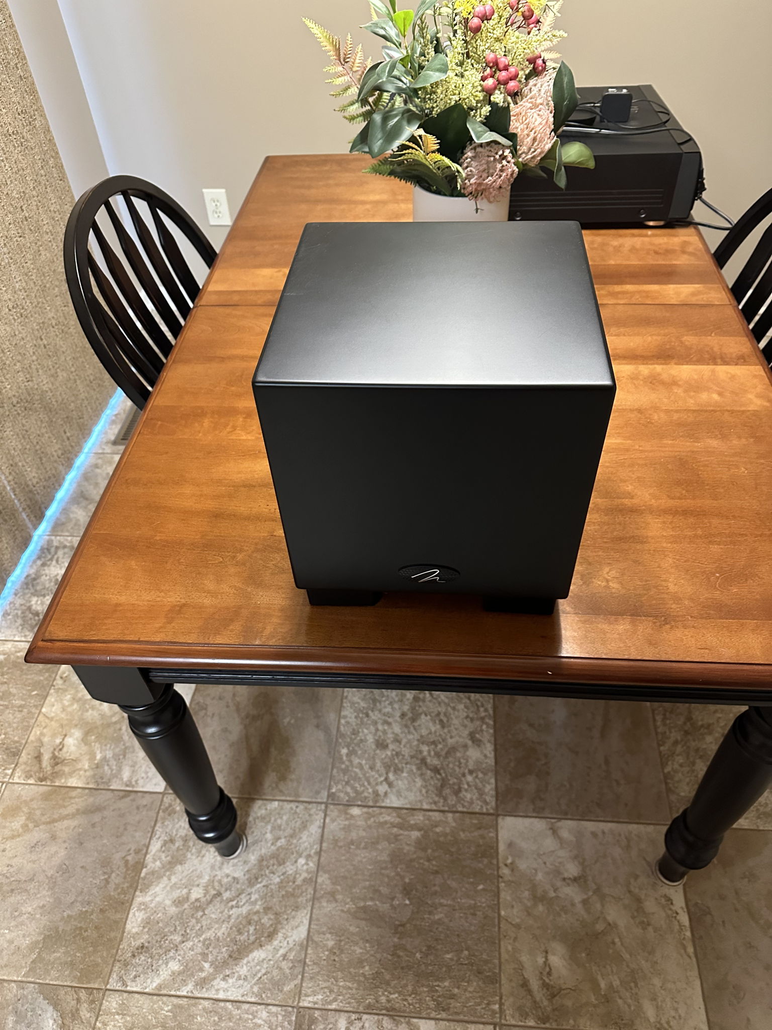 Martin Logan dynamo 700 subwoofer