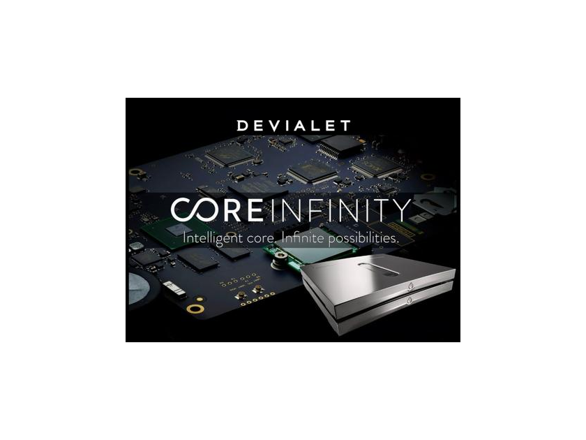 Devialet Expert Pro 210 Core Infinity Dual Mono Brand New Warranty RARE PRE-OUT BOARD Free Shipping