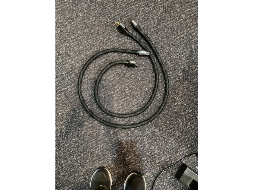 Pangea Audio AC-9 in a 5' 15 amp power cord: