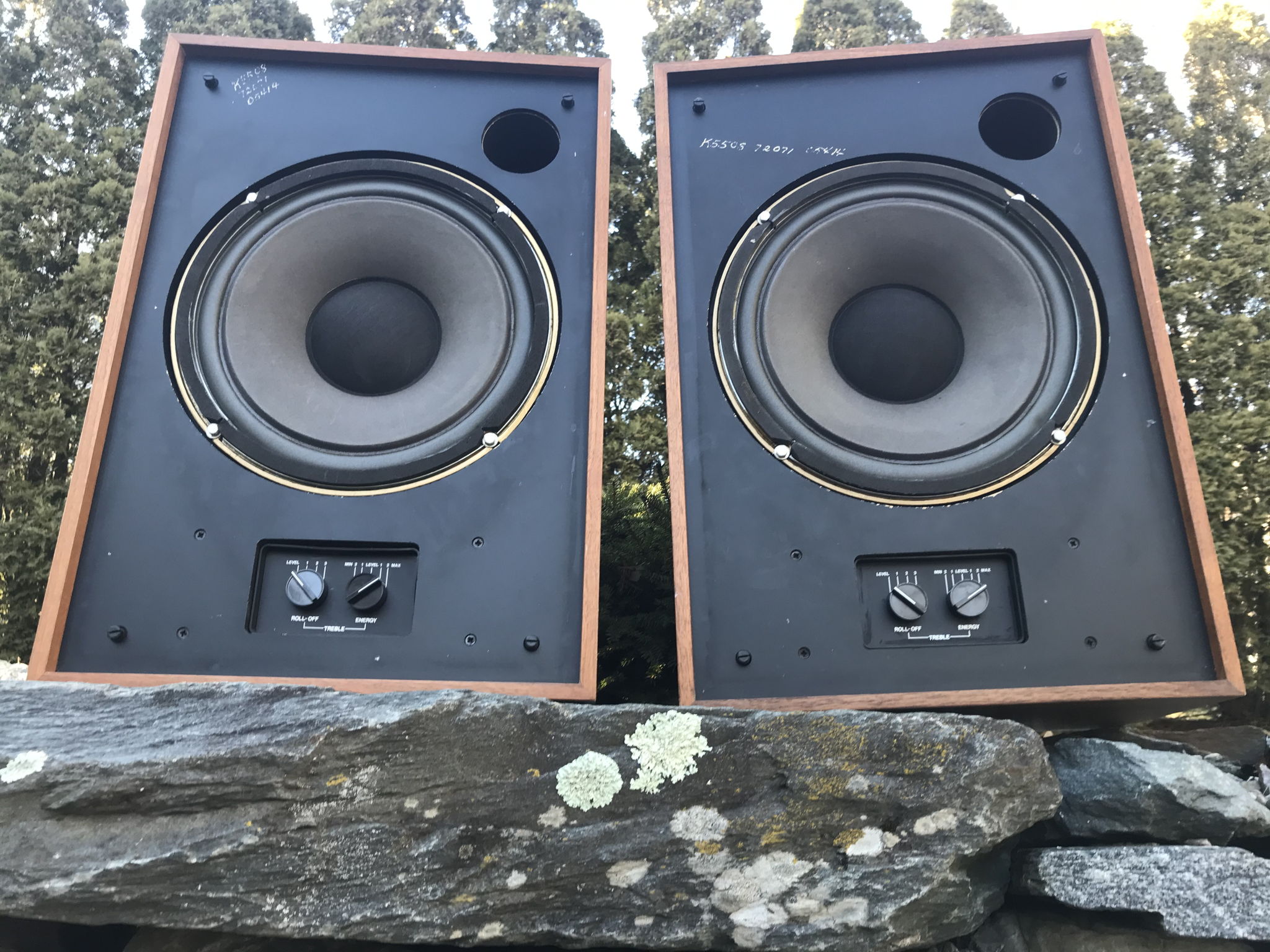 Tannoy Devon Speakers - HPD 315A drivers - For Sale | Audiogon