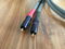 Avanti Audio Vivace Interconnects - 1.5M with WBT-0110C... 8