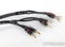 AudioQuest Rocket 44 Bi-Wire Speaker Cables; 6ft Pair (... 4