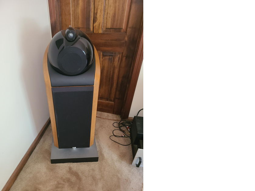 B&W (Bowers & Wilkins) Nautilus 800