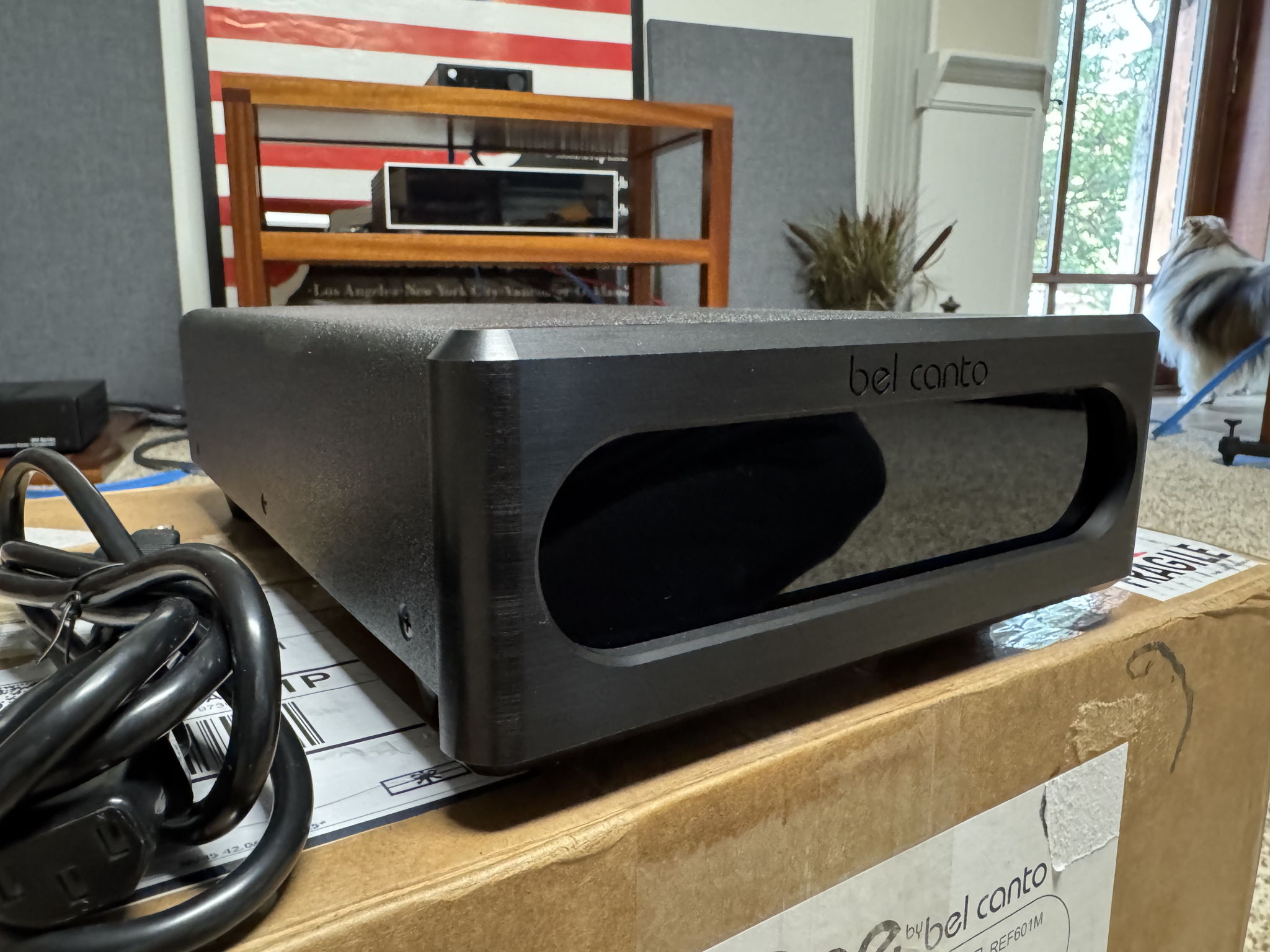 Bel Canto Design REF501S -- Nice amp, only a few months... 2