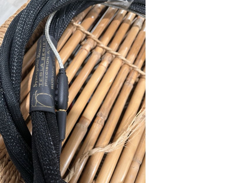 Synergistic Research Tesla Powercell 10se Power Condition upgraded power cable Atmosphere level 3