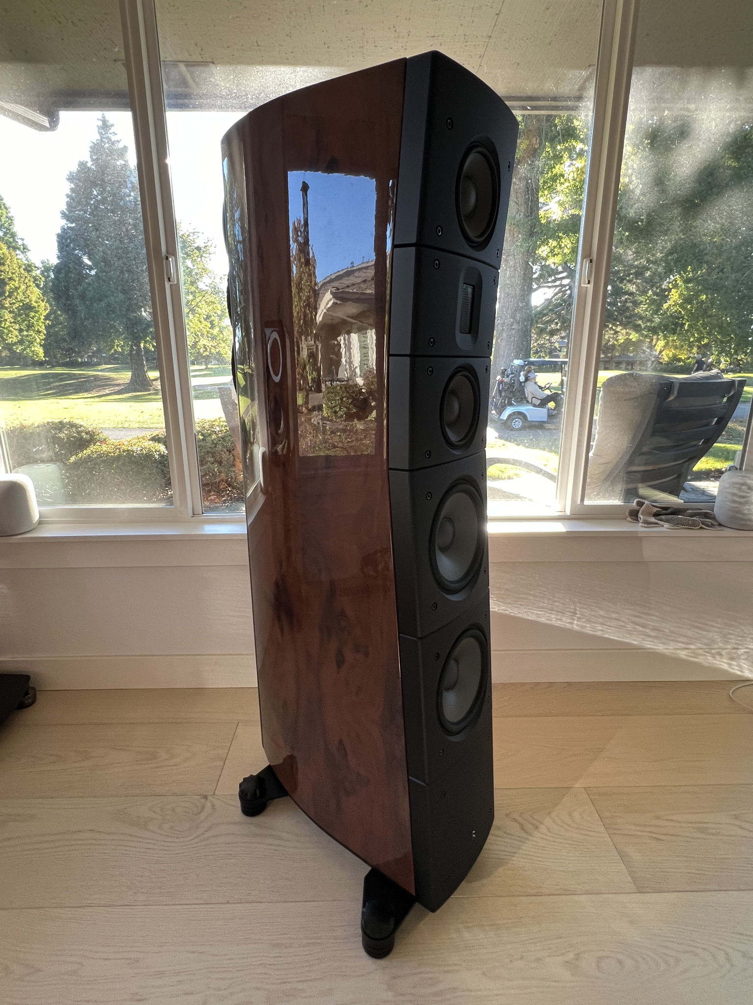 Raidho Acoustics TD 3.8's 2