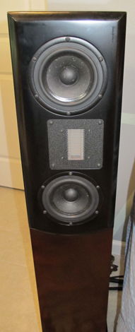 Salk Sound Songtower RT Speakers. LESS THAN 1/2 PRICE!