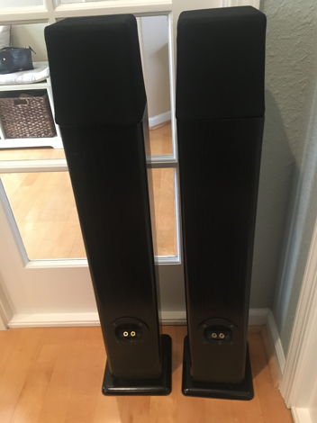 Ohm Acoustics Walsh MicroTall