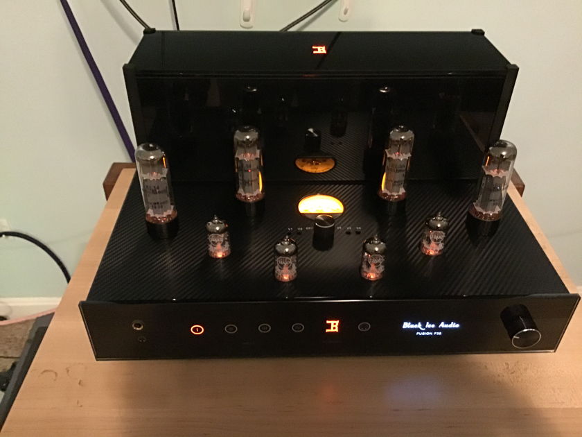 Black Ice Audio - Jim Fosgate - Reference SE build with over 80 parts upgrades !!  $1850 Make An Offer.